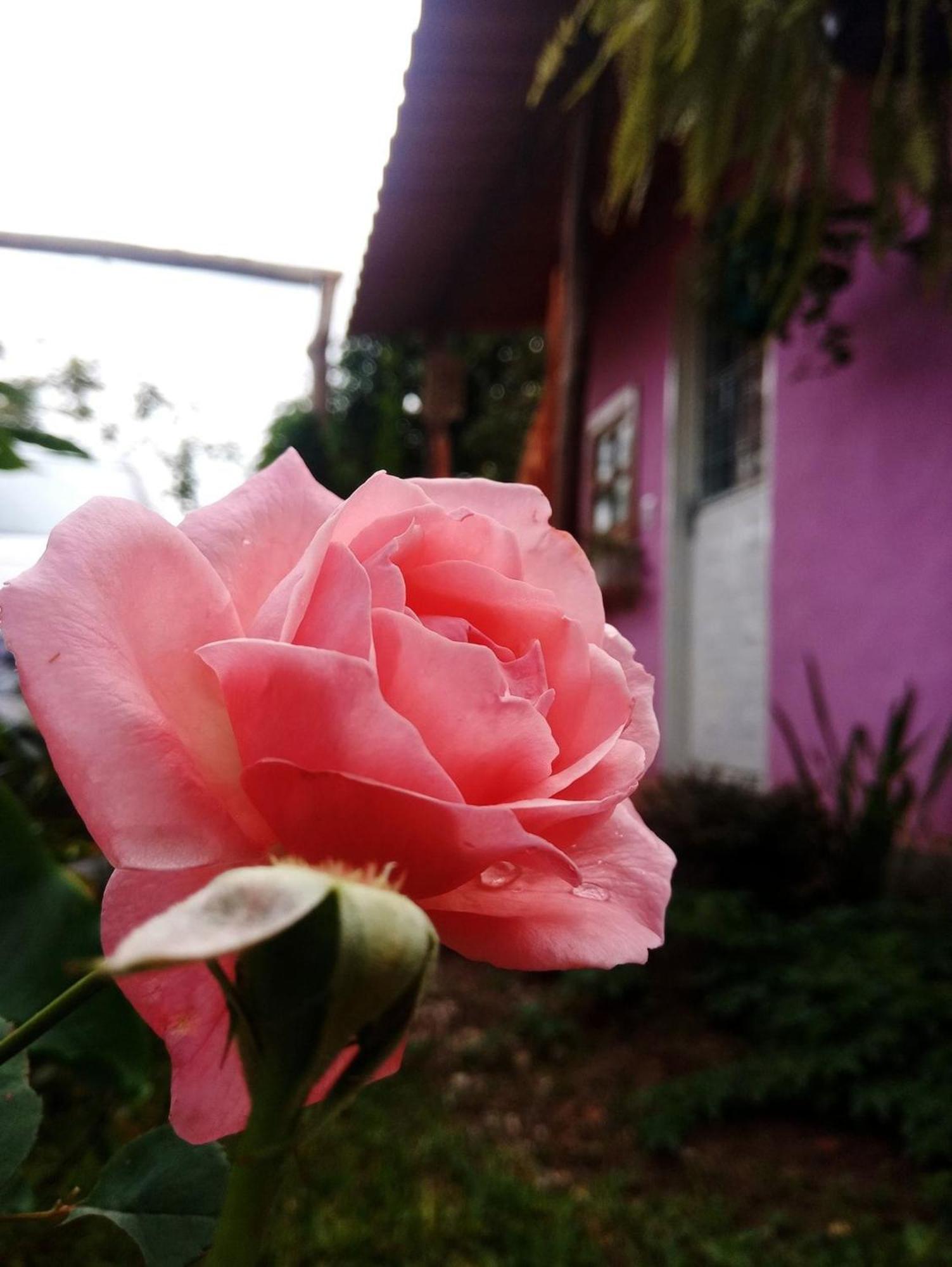 Villa Agape - Chapada Dos Veadeiros Alto Paraíso de Goiás Eksteriør billede