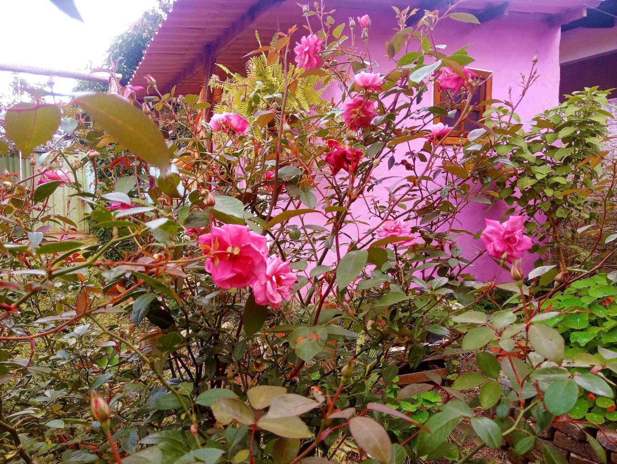 Villa Agape - Chapada Dos Veadeiros Alto Paraíso de Goiás Eksteriør billede