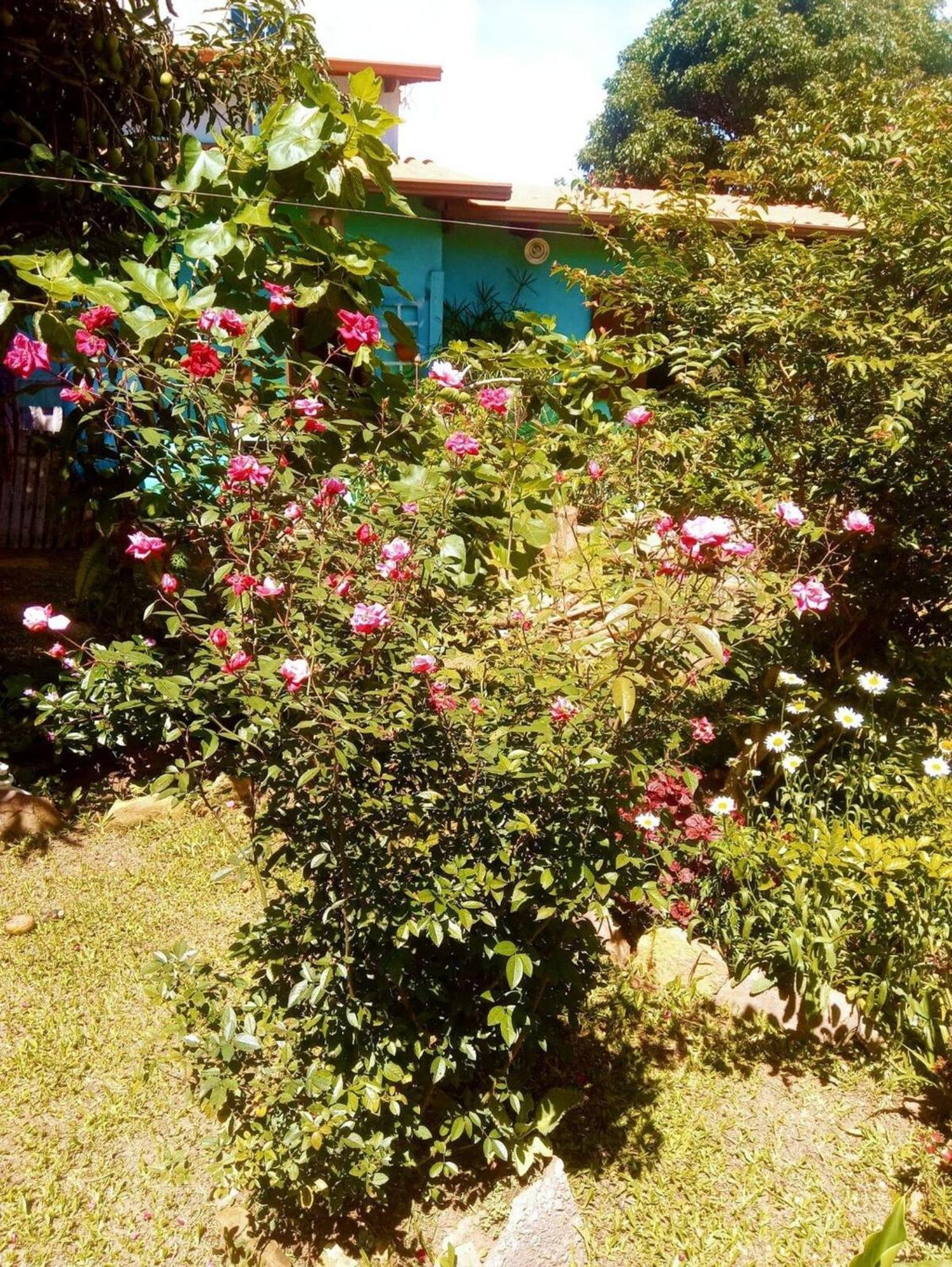 Villa Agape - Chapada Dos Veadeiros Alto Paraíso de Goiás Eksteriør billede
